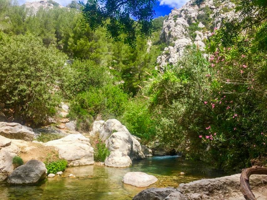 Algar Waterfalls Coach Trip - From Albir & Benidorm - What $31 buys you