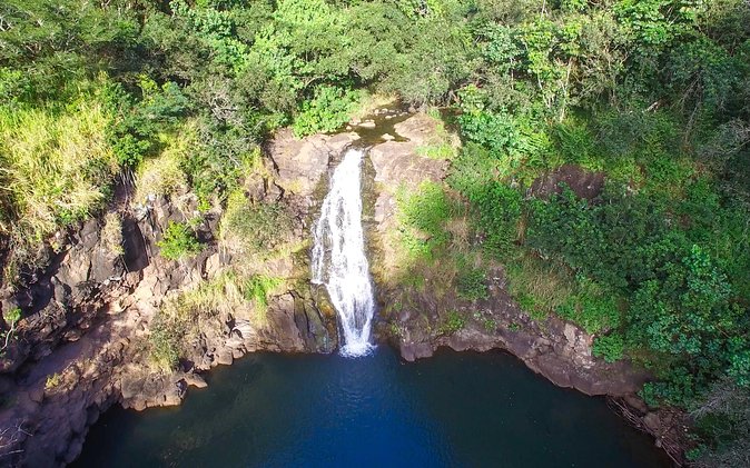 All Inclusive Ultimate Circle Island Tour, Waimea Falls & Lunch - A full day that shows you far more than Waikiki