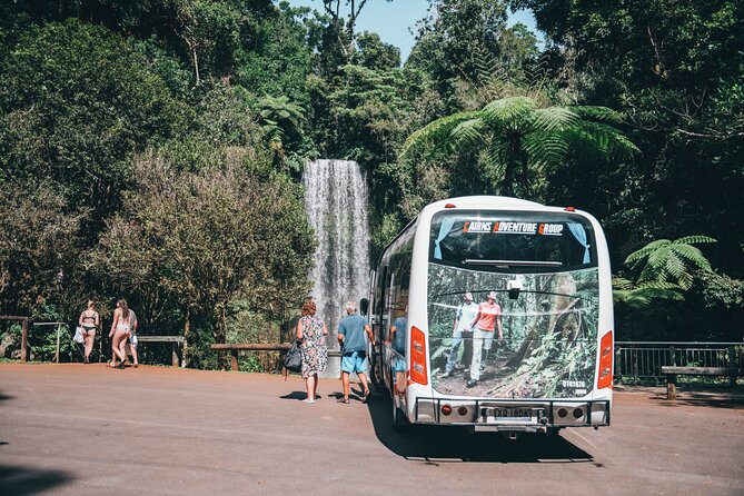 All Inclusive Waterfalls and Rainforest Tour from Cairns - Millaa Millaa Falls delivers the classic view