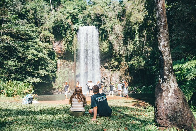 All Inclusive Waterfalls and Rainforest Tour from Cairns - Malanda is the practical lunch break