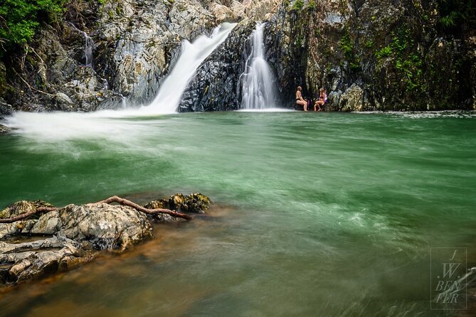 Amazing Daintree Rainforest Tour Waterfall Hike, Lunch, Swim & Crocodile Cruise - Key points to know before booking