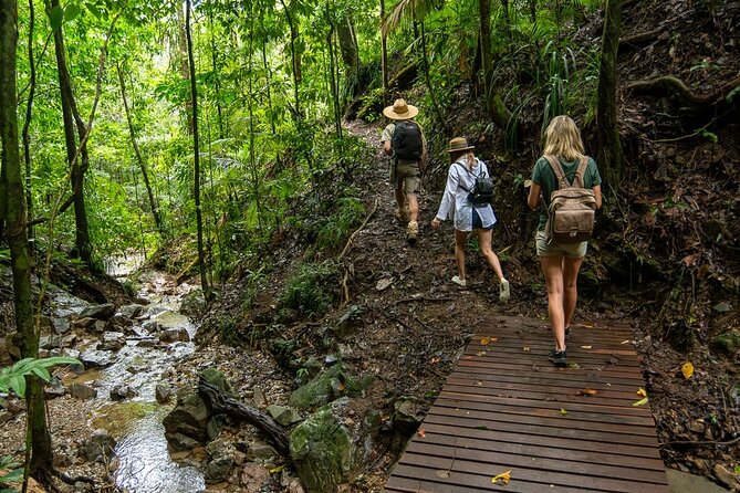 Amazing Daintree Rainforest Tour Waterfall Hike, Lunch, Swim & Crocodile Cruise - Why this Daintree tour works so well