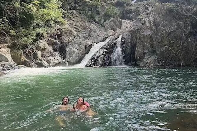 Amazing Daintree Rainforest Tour Waterfall Hike, Lunch, Swim & Crocodile Cruise - Searching for crocodiles on the solar-powered river cruise