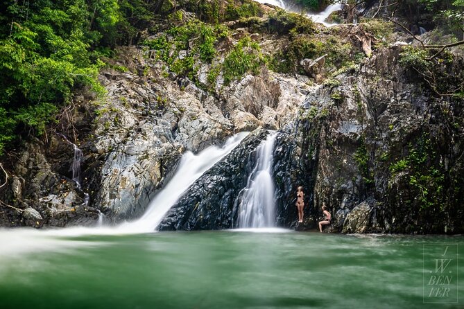 Amazing Daintree Rainforest Tour Waterfall Hike, Lunch, Swim & Crocodile Cruise - Is the $182.90 price good value?