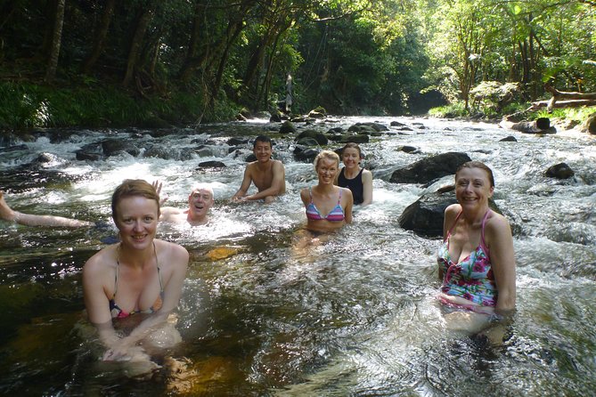 Amazing Daintree Rainforest Tour Waterfall Hike, Lunch, Swim & Crocodile Cruise - Who should book this experience?