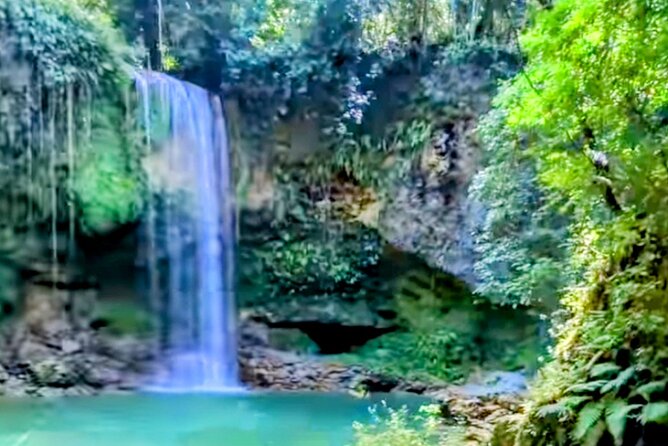 AMBER COVE-TAINO BAY 5 Zip Lines 7 Waterfalls + Locale Food - The uphill route to the five zip lines