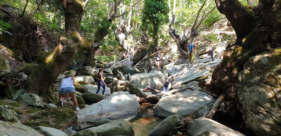 Andros: Achla River Trekking to the Waterfall - Following the Achla River into Andros’s green side