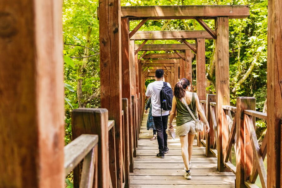 Antalya: Perge, Aspendos, City of Side, and Waterfalls Tour - Perge: the day’s best walk through Roman ruins