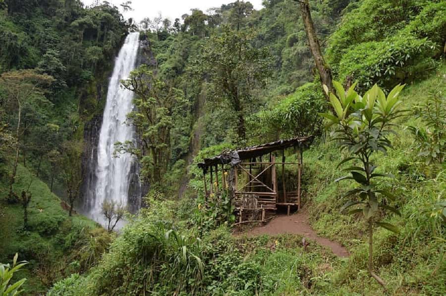 Arusha: Materuni Waterfalls, Coffee, and Hotsprings Tour - A waterfall first, then coffee and a swim