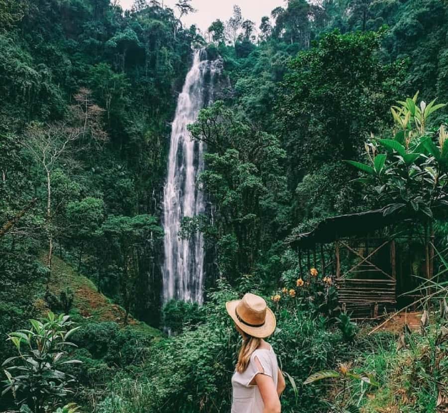 Arusha: Materuni Waterfalls, Coffee, and Hotsprings Tour - Learning coffee in Materuni Village
