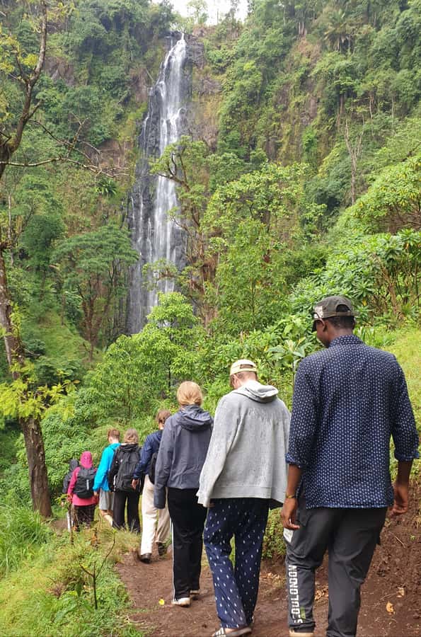 Arusha: Materuni Waterfalls, Hot Springs and/or Coffee Tour - Key points to know before you book