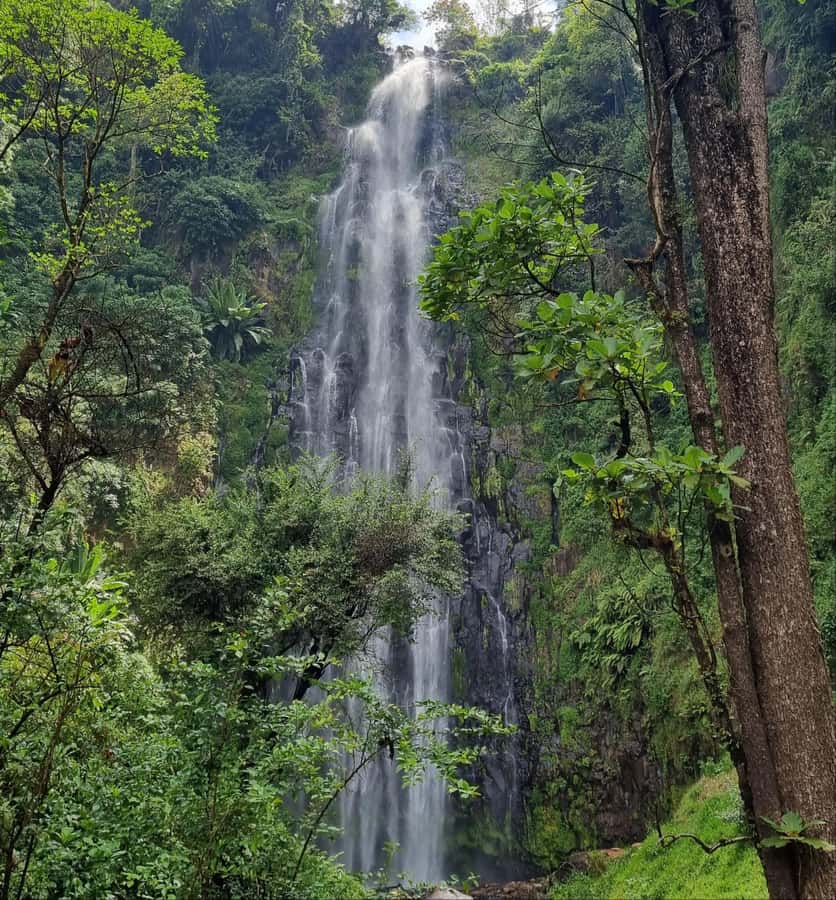 Arusha: Materuni Waterfalls, Hot Springs and/or Coffee Tour - From Arusha or Moshi to Materuni village
