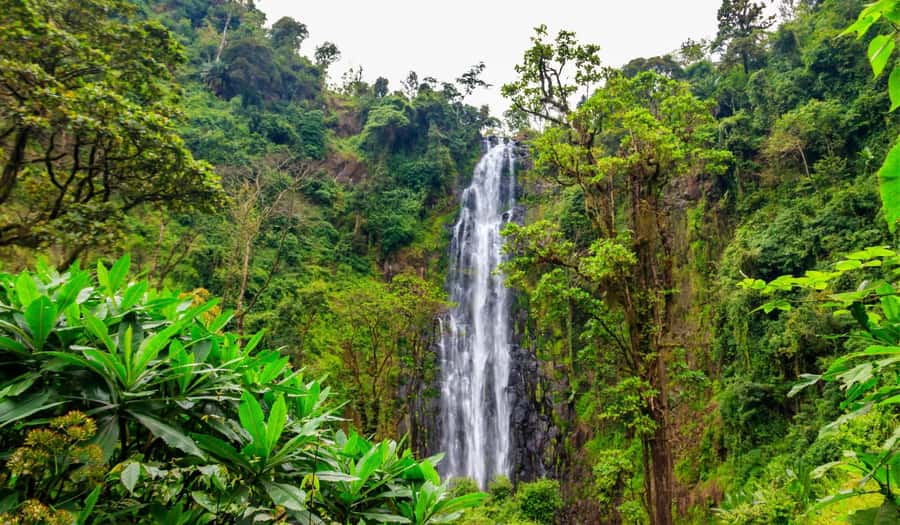 Arusha: Materuni Waterfalls, Hot Springs and/or Coffee Tour - A Tanzanian lunch after the hike