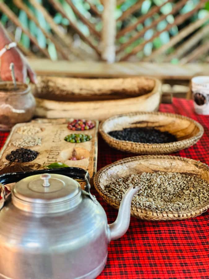 Arusha: Materuni Waterfalls, Hot Springs and/or Coffee Tour - What the $53 package really covers