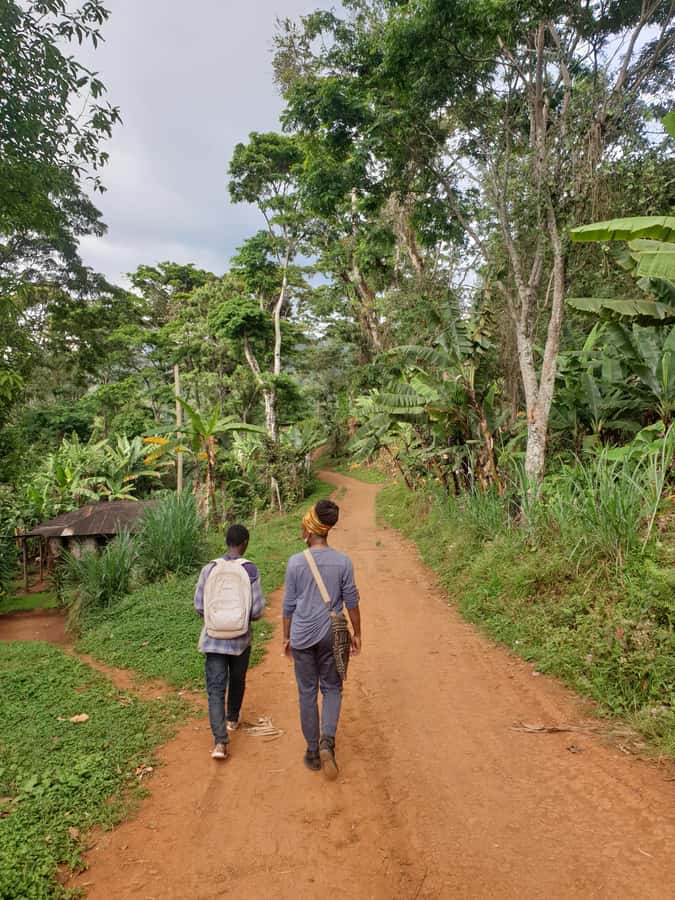 Arusha: Materuni Waterfalls, Hot Springs and/or Coffee Tour - Guides, driving, and the feel of the day