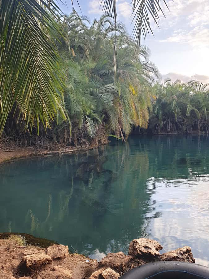 Arusha: Materuni Waterfalls, Hot Springs and/or Coffee Tour - What to bring and how to prepare