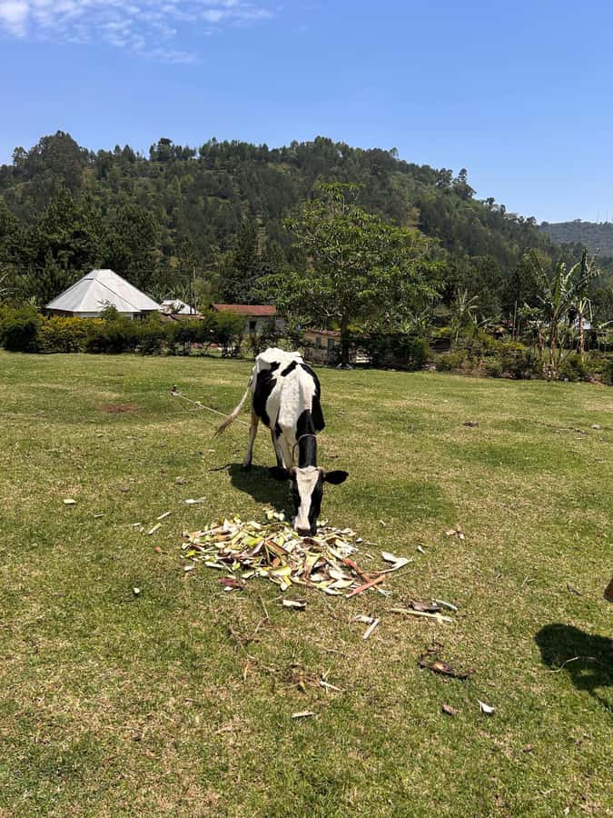 Arusha: Napuru Waterfalls Guided Hike - Why Napuru works as an Arusha half-day