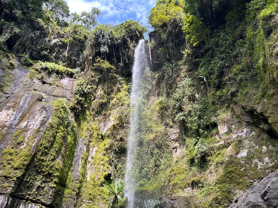 Arusha: Napuru Waterfalls Guided Hike - From your Arusha hotel to the village paths
