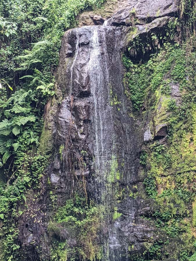 Arusha: Napuru Waterfalls Guided Hike - The river crossing and the final approach