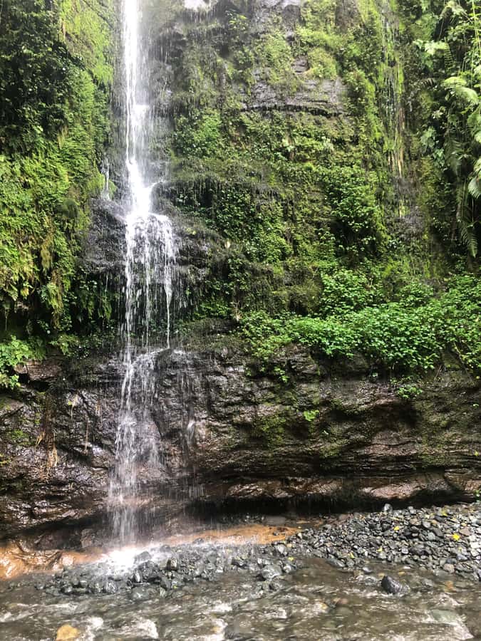 Arusha: Napuru Waterfalls Guided Hike - What the guides add to the walk
