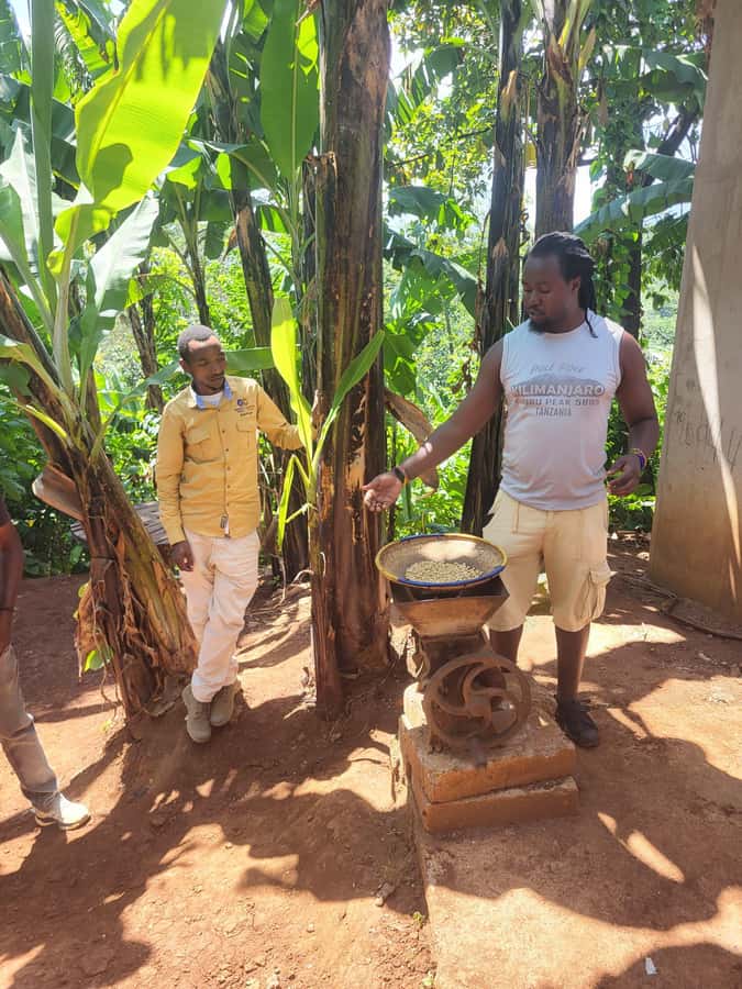 Arusha or Moshi : Hot Spring, Waterfall & Coffee Farm Tour - Chemka Hot Springs and clear, deep water