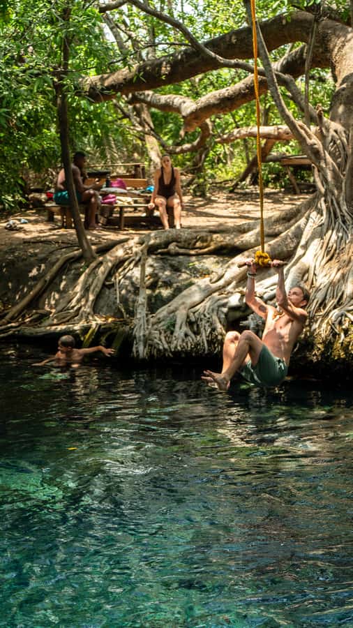 Arusha or Moshi : Hot Spring, Waterfall & Coffee Farm Tour - Guides make the long day work