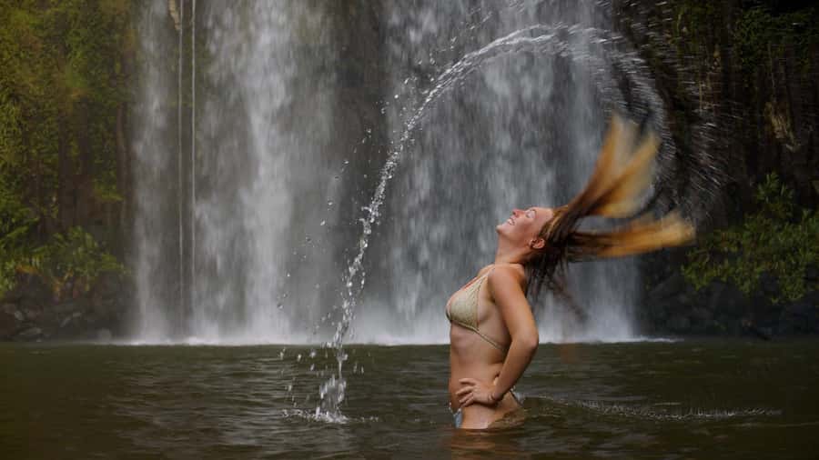 Atherton Tablelands: Lakes, Waterfalls, Rainforest Day Tour - Key points to know before booking