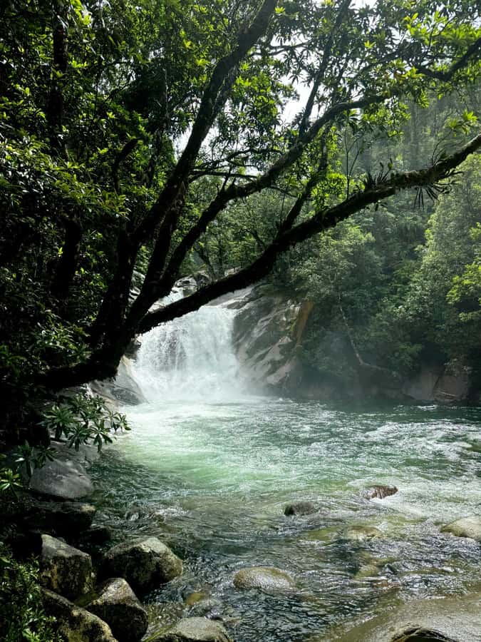 Atherton Tablelands: Lakes, Waterfalls, Rainforest Day Tour - Platypus spotting is seasonal and not guaranteed