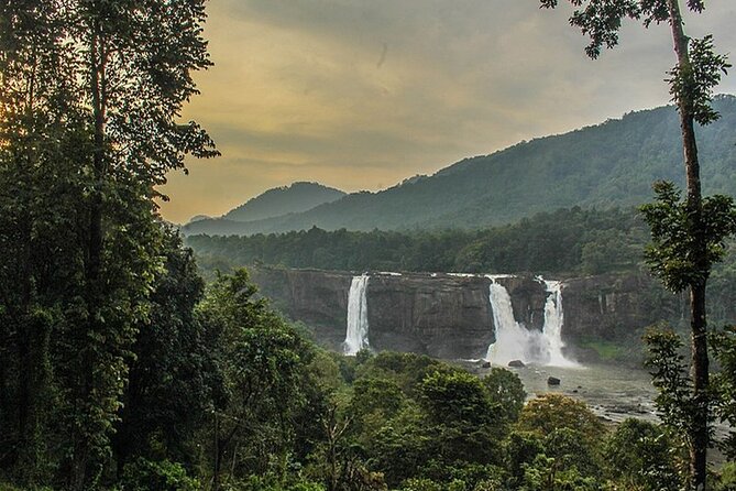 Athirappilly & Vazhachal Waterfalls Private Day Tour from Kochi - Timing, crowds, and the return to Kochi