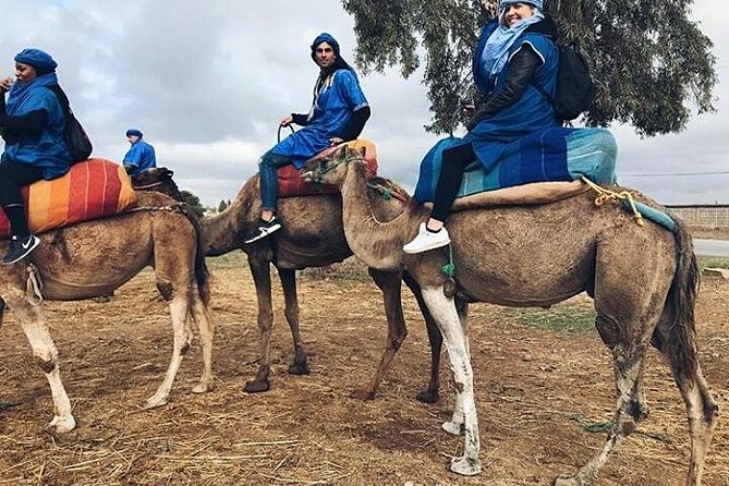 Atlas Mountain & Berber Villages and Waterfalls Day Trip from Marrakech - Tea with a Berber family