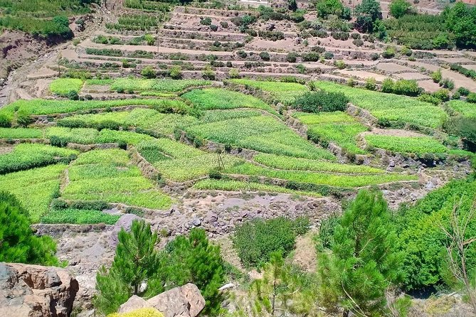 Atlas Mountain & Berber Villages and Waterfalls Day Trip from Marrakech - Guides, languages, and group size