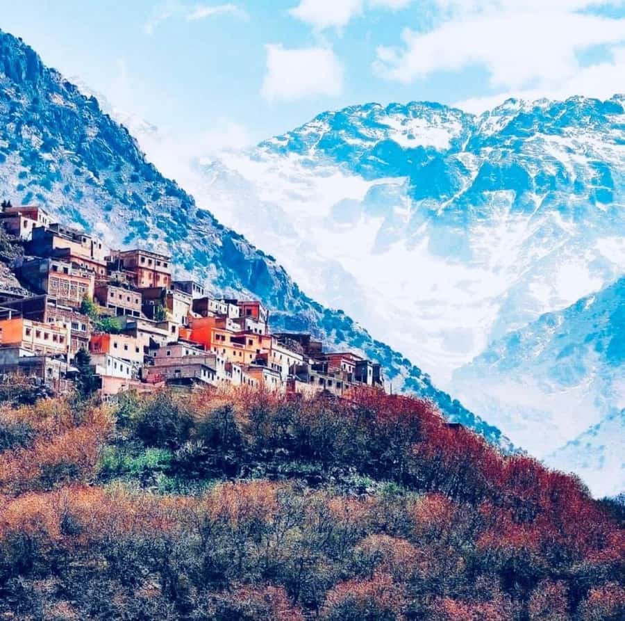 Atlas Mountain & Three Valleys Waterfalls & Desert Day Trip - From Marrakech to the High Atlas by 9 am