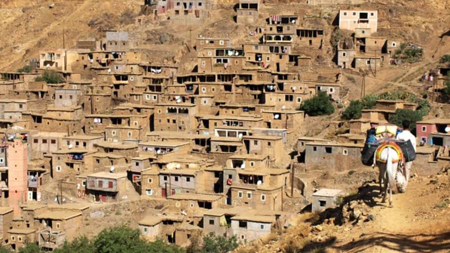 Atlas Mountain & Three Valleys Waterfalls & Desert Day Trip - A camel ride before the mountain roads