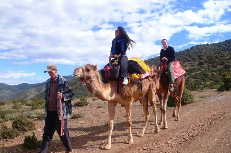 Atlas Mountain & Three Valleys Waterfalls & Desert Day Trip - Imlil waterfall and the steepest section of the day