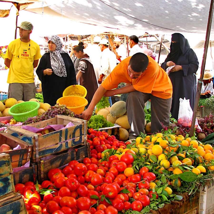 Atlas Mountains and 3 Valleys & Waterfalls & Desert Agafay - What the $22 price really includes