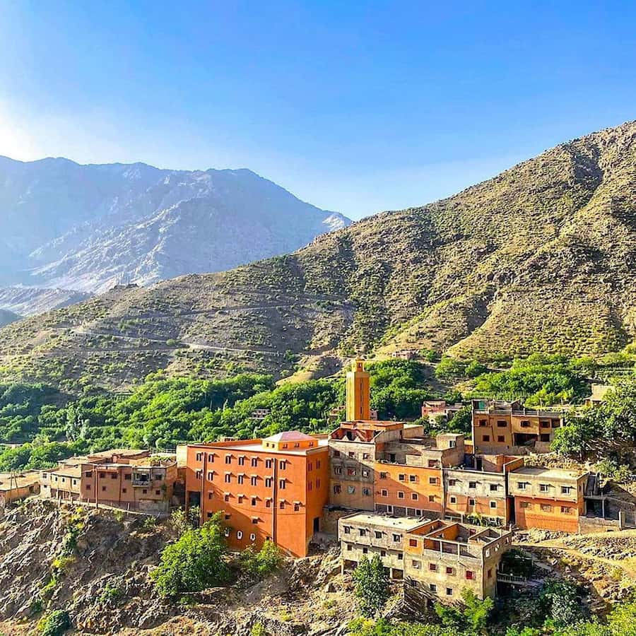Atlas Mountains and 3 Valleys & Waterfalls & Desert Agafay - Berber homes, local tea, and an argan-oil stop