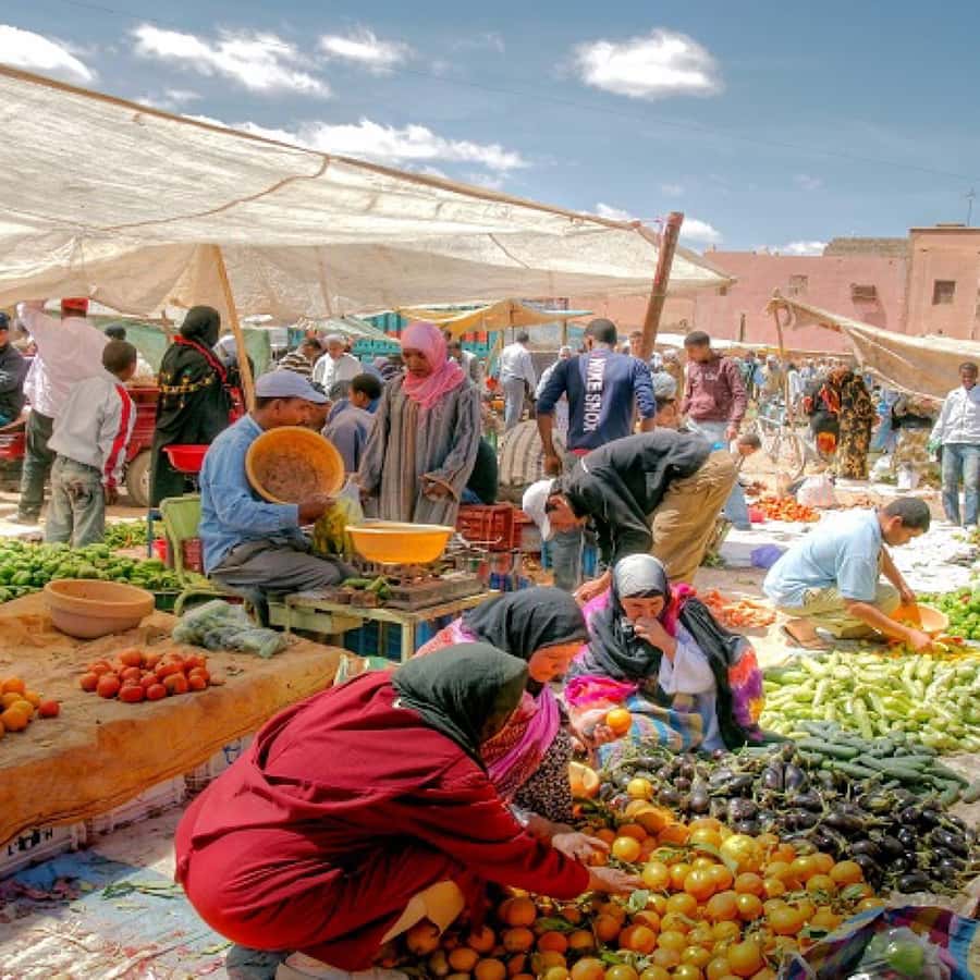 Atlas Mountains and 3 Valleys & Waterfalls & Desert Agafay - A Moroccan lunch after the morning walk