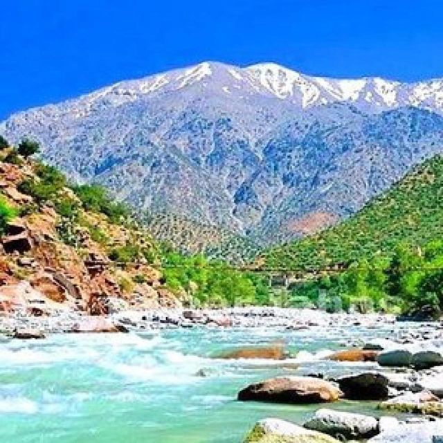 Atlas Mountains and 3 Valleys & Waterfalls & Desert Agafay - Camel riding in the Agafay Desert