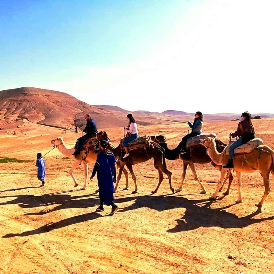 Atlas mountains and Berber villages & waterfall & camel ride - From Marrakech to the foothills of the Atlas