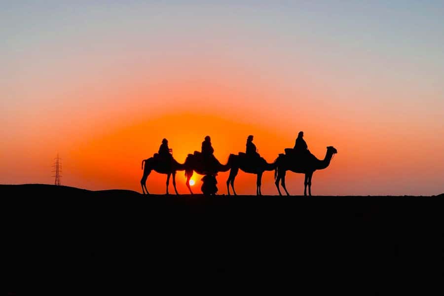 Atlas mountains and Berber villages & waterfall & camel ride - Local markets and ordinary village life