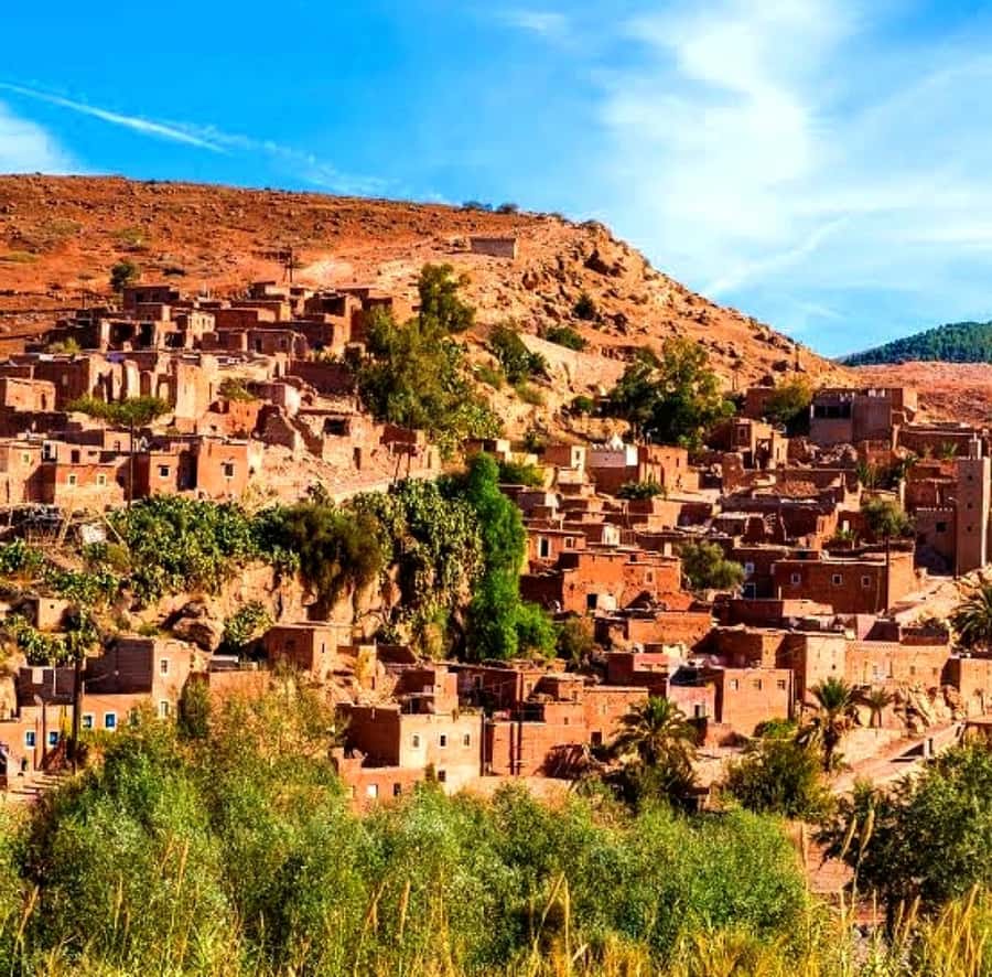Atlas mountains and Berber villages & waterfall & camel ride - Camel riding near Lala Takerkoust