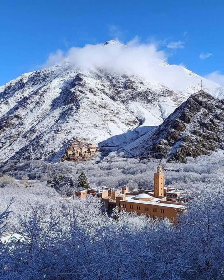Atlas Mountains:Full-Day Trek to Berber Villages & Waterfall - Who should book this day out?