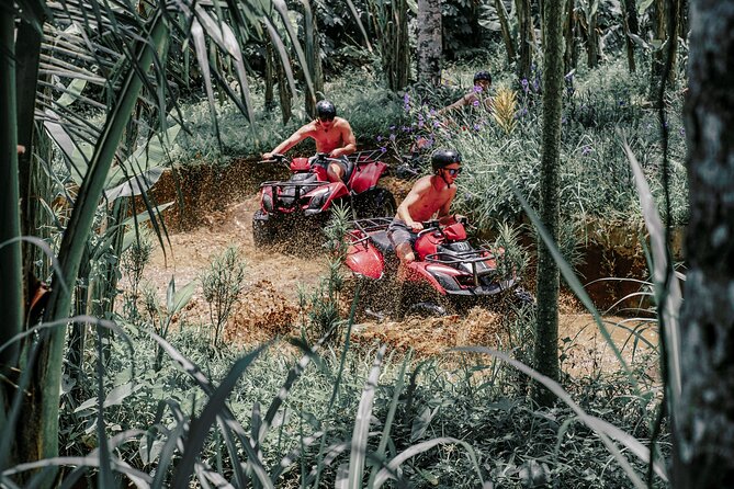 ATV Quad Bike Bali with Waterfall Gorilla Cave and Lunch - Rice fields, jungle, water, and village tracks