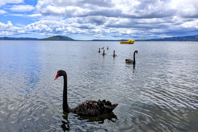 Auckland: Rotorua, Taupo, Waiotapu & Huka Falls Private Trip - Huka Falls gives you a short, powerful stop