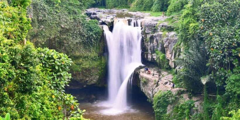 Bali: ATV Gorilla Cave, Ubud Monkey Forest, & Waterfall Tour - Should you book the Gorilla Cave ATV tour?