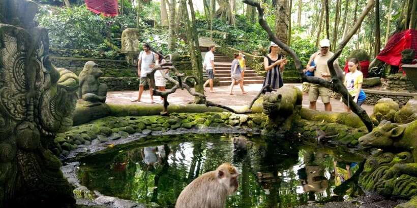 Bali: ATV Gorilla Cave, Ubud Monkey Forest, & Waterfall Tour - What the $53 price includes
