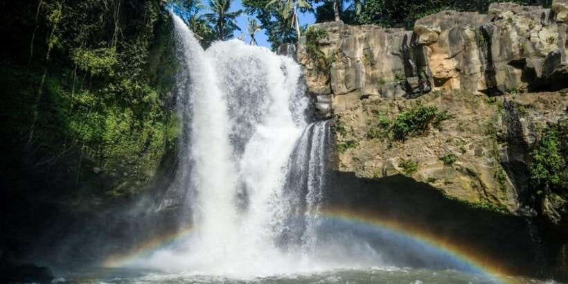 Bali: ATV Gorilla Cave, Ubud Monkey Forest, & Waterfall Tour - Who will enjoy this tour most