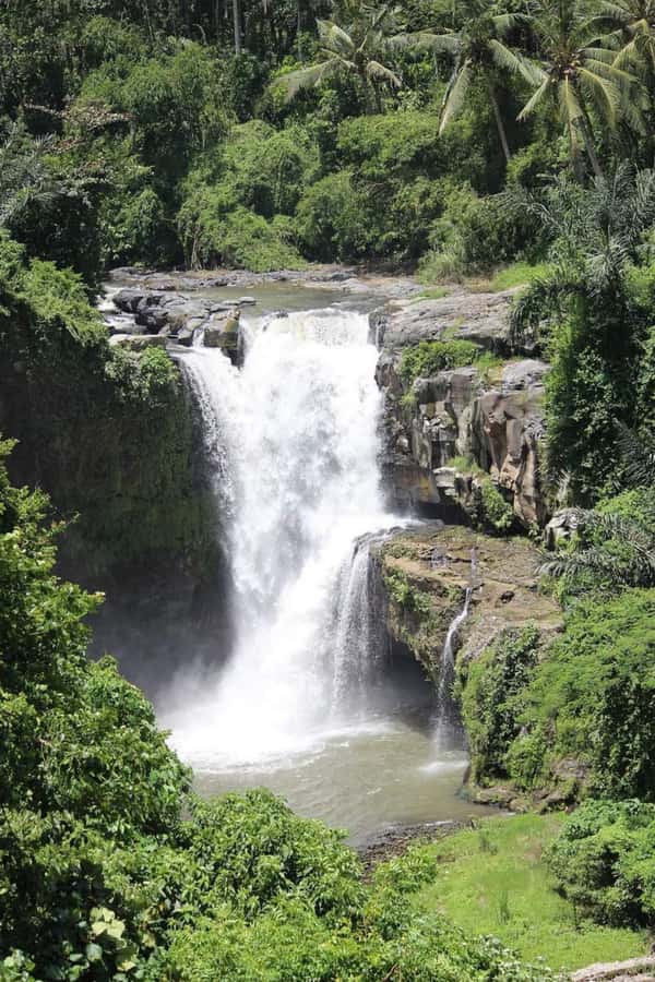 Bali: Best of Ubud Waterfalls Tour - Three waterfalls, three different moods