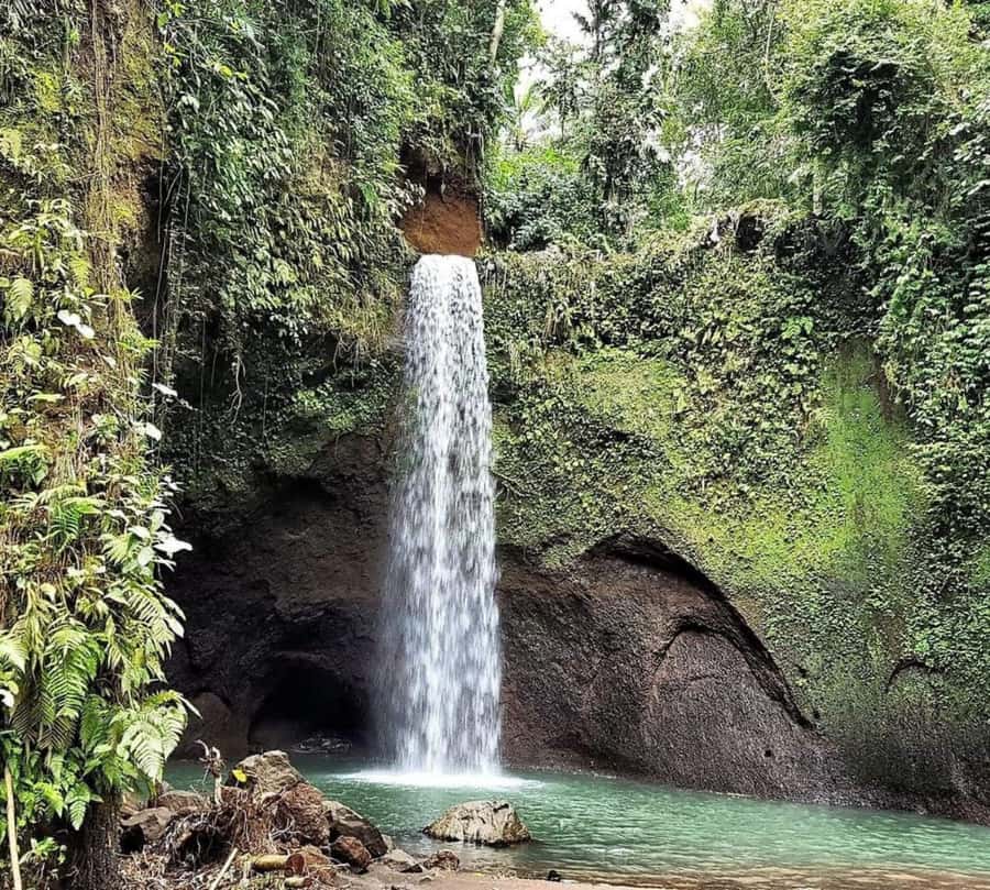 Bali: Best of Ubud Waterfalls Tour - How the photo service works in practice