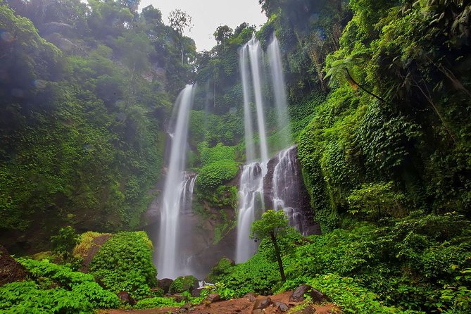 Bali Best Waterfalls Tour : Sekumpul and Banyumala - Practical ways to prepare